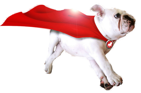 Bulldog fra BullGuard